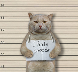 The cat criminal has the sign around his neck that says 