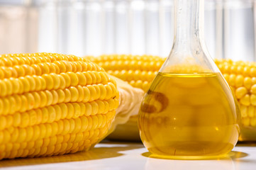 Biofuel from corn, oil and biofuel solution.