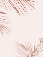 Fototapeta premium Tropical palm leaves on light pastel background. Unobtrusive botanical background with shadow on the wall - trend frame, cover, card, postcard, graphic design - 3D, render, illustration. 
