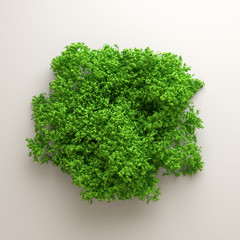 Obraz premium Beautiful summer foliage frame. 3d illustration, 3d rendering.