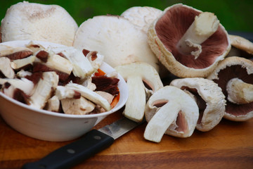  Wiesen- Champignon   zubereiten