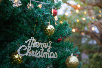 merry christmas logo on the tree for chiristmas time