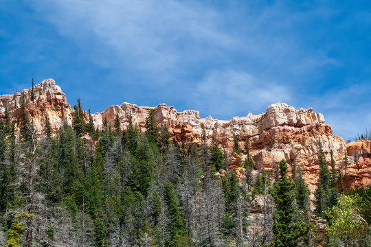 Stout Canyon a red sandstone plateau in Utah