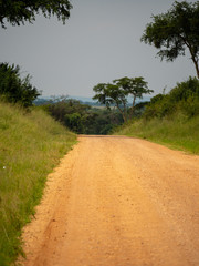 Fototapeta na wymiar Queen Elizabeth Park scenery, Uganda
