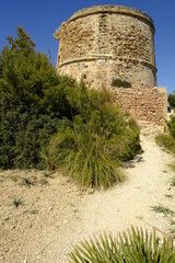 Der Wachturm Torre d’Albarca auf der Halbinsel Llevant im Naturpark Llevant, Mallorca, Balearen,...