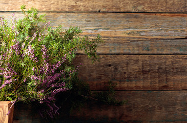 Blooming heather and juniper branch with berries on a  wooden background.