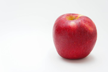 red apple fruit on white background