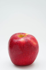 red apple fruit on white background
