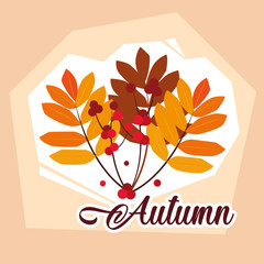 hello autumn poster with branch and leafs