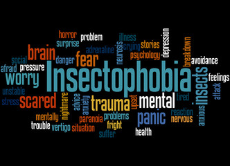 Insectophobia fear of insects word cloud concept 3
