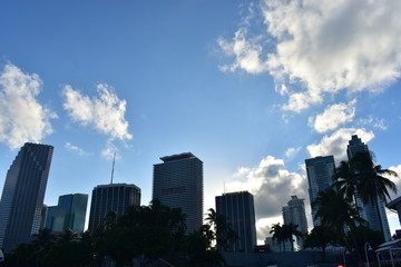 Obraz premium Views of the city of Miami. Tall buildings.