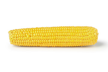 Fresh ripe ear of corn