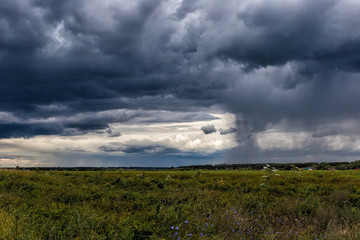 Obraz premium Dark cumulonimbus clouds, with rain coming on the horizon, over a wild field. Sky pattern.
