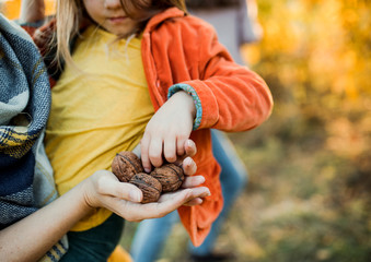 Midsection of mother and small daughter in autumn nature, holding nuts.