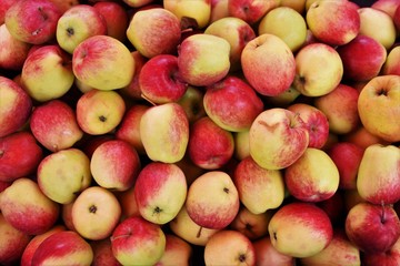 Apples
