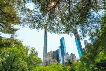 Manhattan Skyline Framed by Nature. Skyscrapers, View from Central Park. Sunny Day in New York City