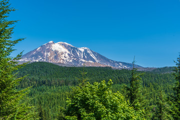 Fototapeta premium Landscape of SW Face of Mount Adams from Forest Road-23 Viewpoint-2398