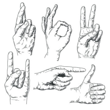 Vintage hand drawn hand gestures isolated on white background. Pen and ink vector illustration.