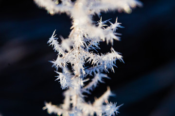 Small icicles on grass macro. Season transition. Amazing nature concept