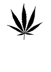 Hanf Blatt Cannabis Pflanze Icon Vektor Grafik