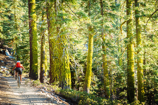 USA, California, Lake Tahoe. A woman is mountain biking on the Flume Trail, near Lake Tahoe.