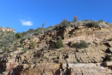view of mt. lemmon