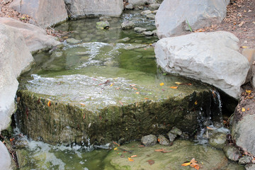 Fototapeta premium waterfall in forest