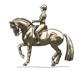 Vector sketch of a rider and horse execute the piaffe.