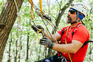 Mountain rescuer securing ropes to climb