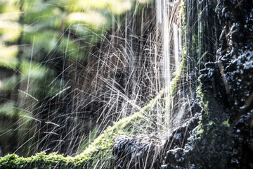 Water drops jumping from rock. Small waterfall, close up view. Water cascade.