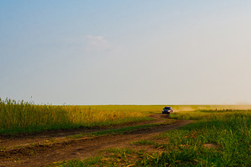 Red crossover raises a cloud of dust on a country dirt road. The road along the green meadow.