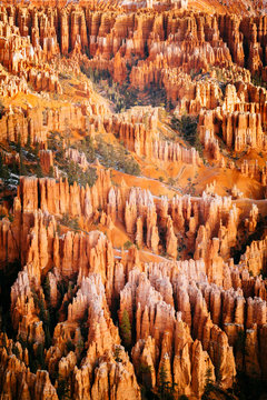 The hoodoo sandstone formations of Bryce Canyon National Park from Bryce Point at sunrise.