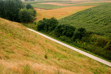 Region of the Ponidzie in the south of Poland in summer