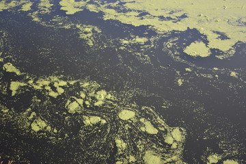 aerial view of a landscape