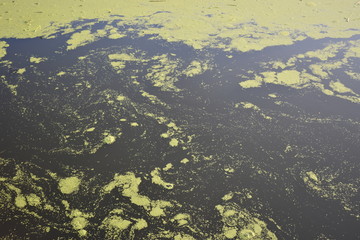 aerial view of the river