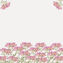 Watercolor pink flowers on a white background