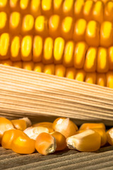 Ears of Sweet Corn and seeds with selective focus in Brazil
