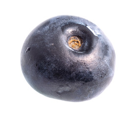 single fresh blueberry cutout on white