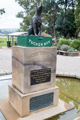 Dog on the Tuckerbox