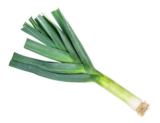 fresh leek with greens cutout on white