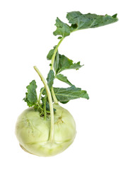 fresh organic kohlrabi with foliage cutout