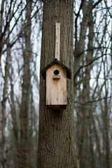 скворечник