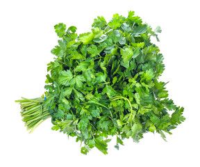 bundle of fresh wet green parsley herb cutout