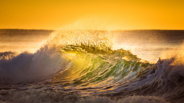 Australia, Queensland, Sunrise Beach. Beautiful dawn light makes a wave glow with gold.