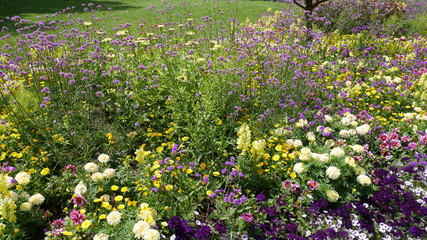 Blumen