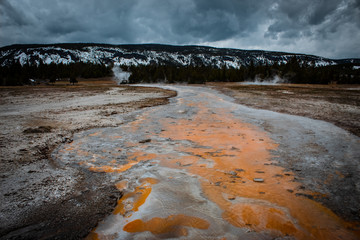 Natural Drainage