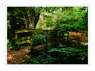 OLYMPUS DIGITAL CAMERA - PARK