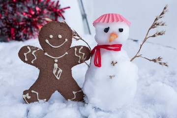 Gingerbread Man and Snowman