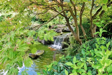 Japanischer Garten, Würzburg