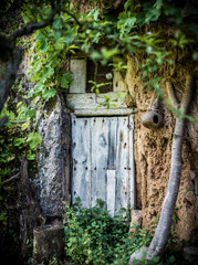 abandoned cottage in the countryside with semi-wooden door, with plants, built inside the stones and spider web in the window